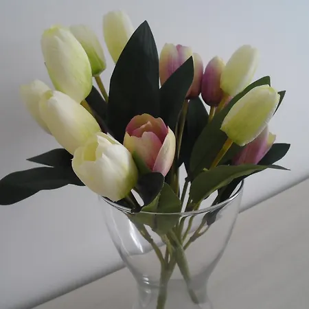 Casa de Férias Casa Simo